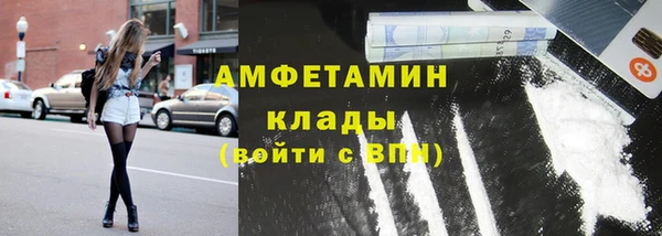 хмурый Осинники