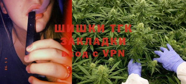 винт Осташков
