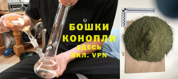 винт Осташков