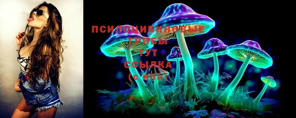 хмурый Осинники