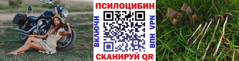 Псилоцибиновые грибы мухоморы где можно купить наркотик Губкинский