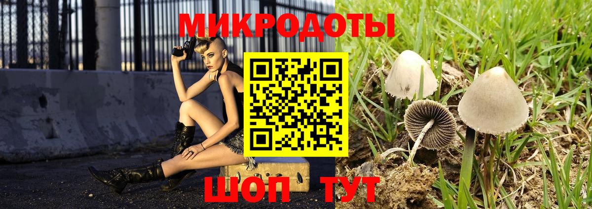 Псилоцибиновые грибы ЛСД Губкинский